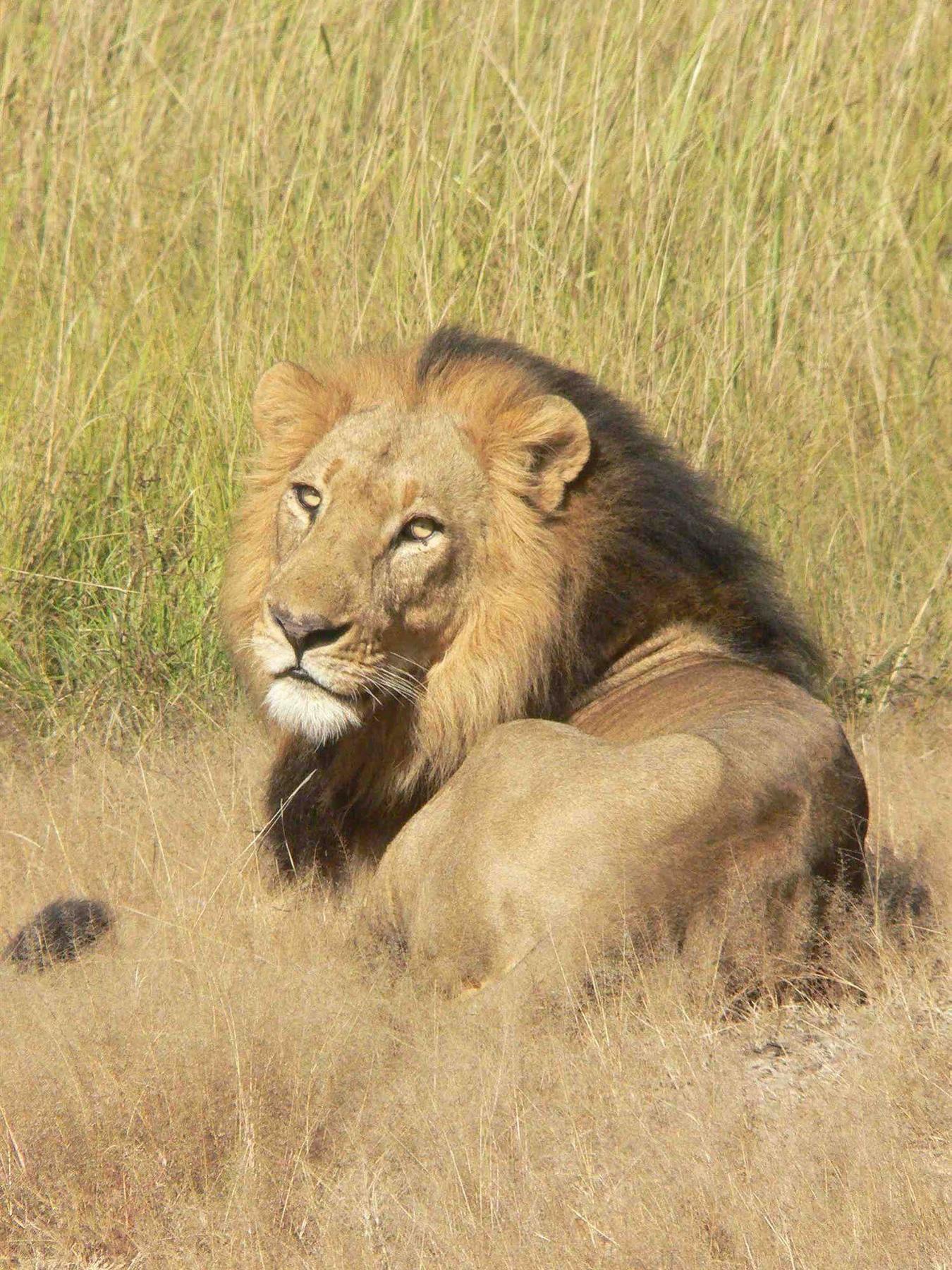 Hotel Bongwe Kafue Camp Esterno foto